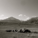 139 'Camp' - Kyrgzystan
