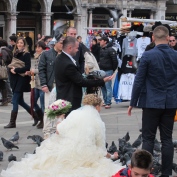 Wedding Pigeons?