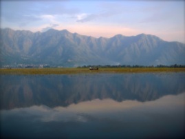141 'Dal Lake' - Kashmir