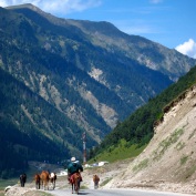 Kashmiri horseman