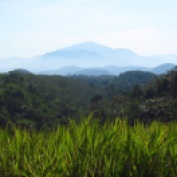 117 'Mountain In The Malay Interior' - Malaysia