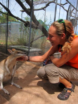 Alice makes firm friends with a wallaby