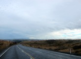 Cold, wet & beautiful roads - North Island. We're glad we're driving...